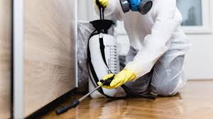 Best Indoor Pest Control  in Ridgefield Park, NJ